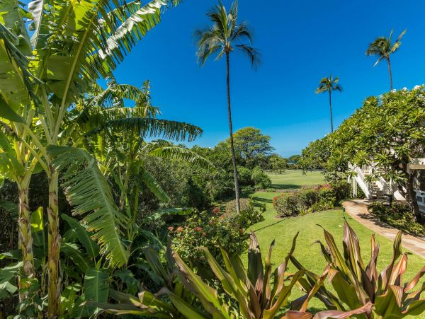 Wailea Condo 976688