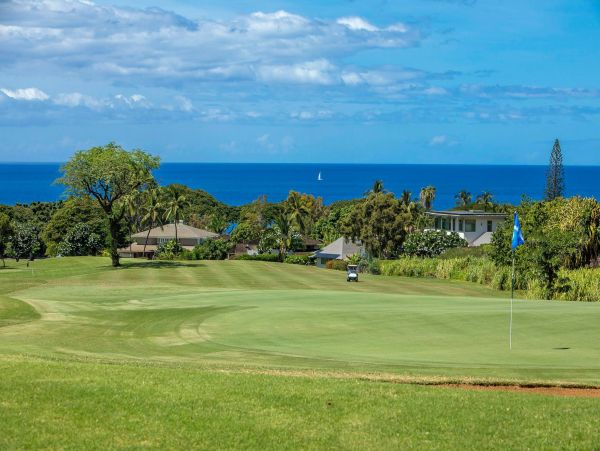 Wailea Condo 976688