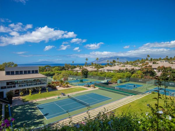 Wailea Condo 976688