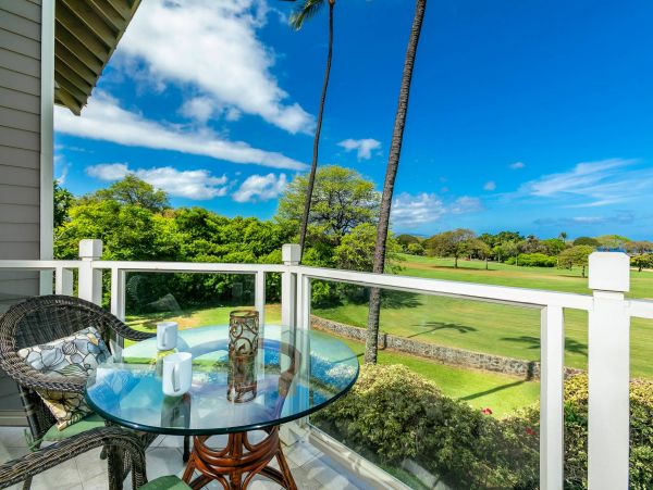Wailea Condo 976689