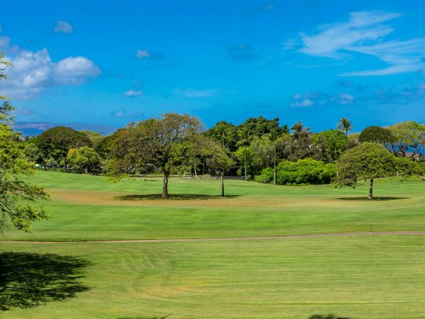 Wailea Condo 976689