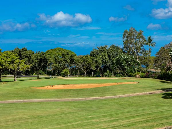 Wailea Condo 976689