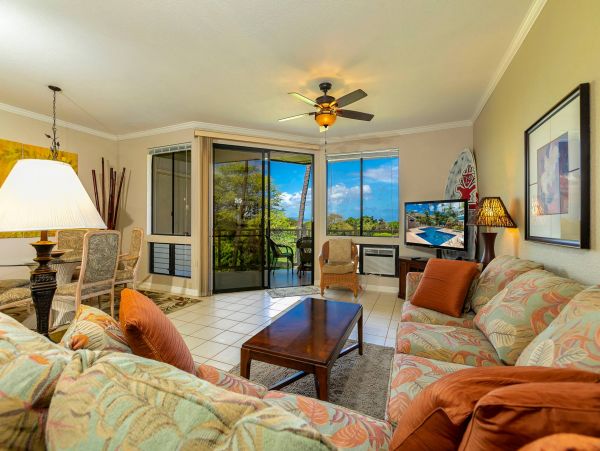 Wailea Condo 976689