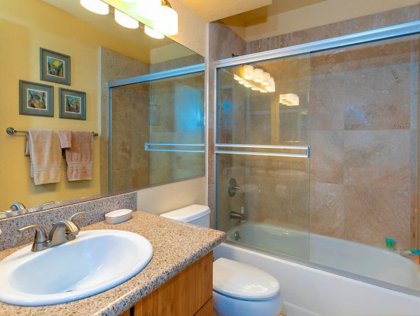 Wailea Condo 976689