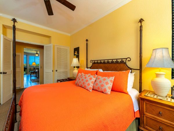 Wailea Condo 976689