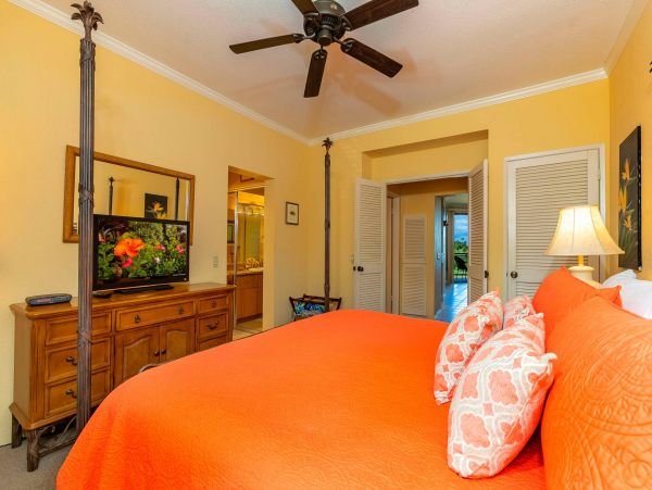 Wailea Condo 976689