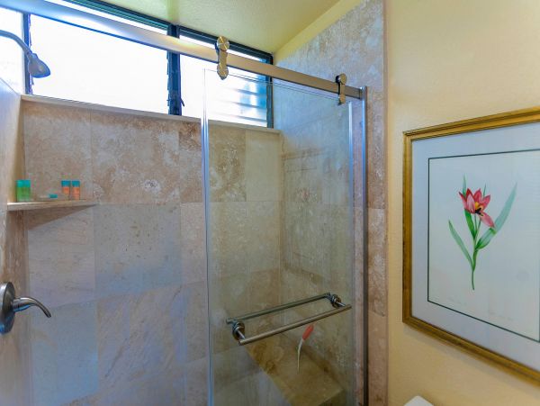 Wailea Condo 976689