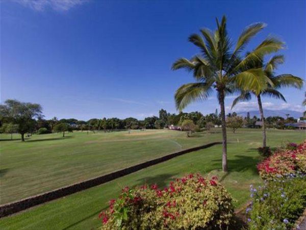 Wailea Condo 976689