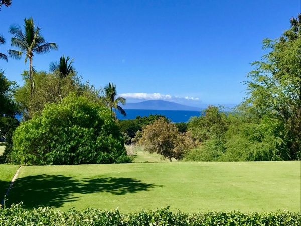 Wailea Condo 976689