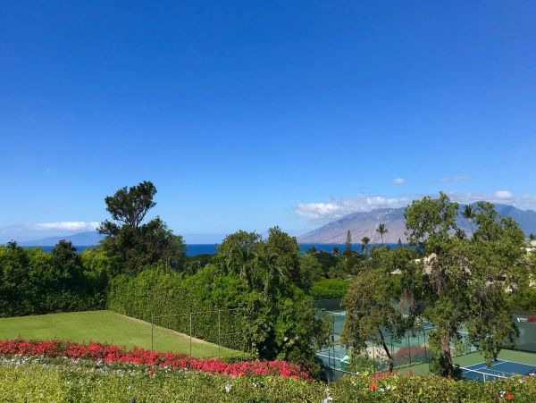 Wailea Condo 976689