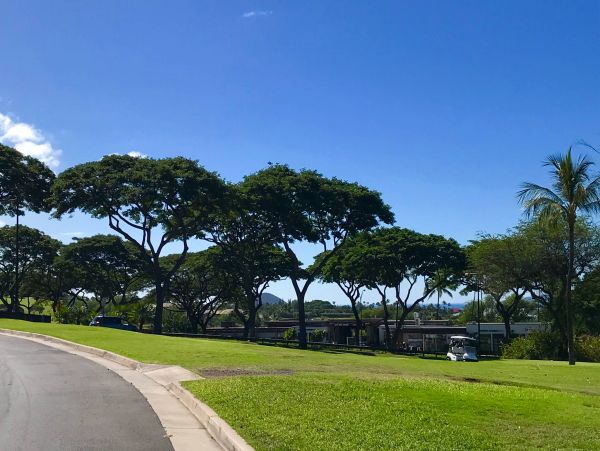 Wailea Condo 976689