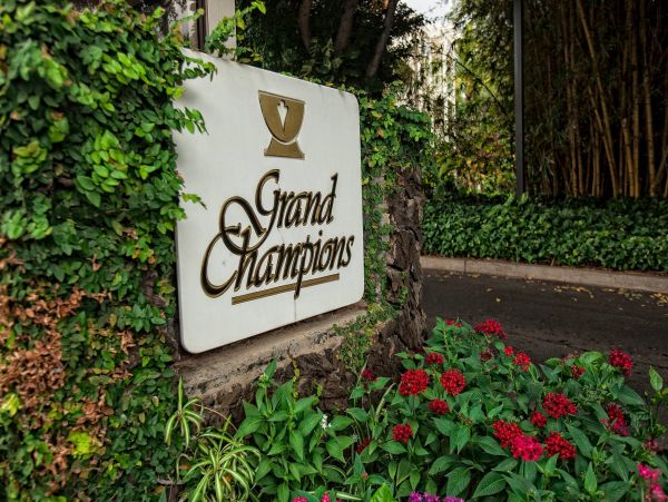 Wailea Condo 976689