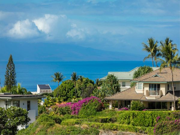 Wailea Condo 976691