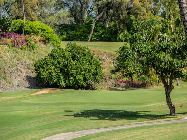 Wailea Condo 976691
