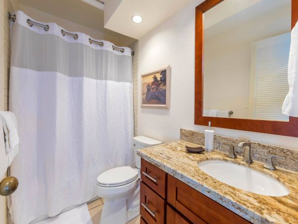 Wailea Condo 976691