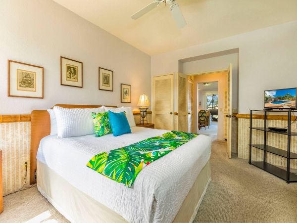 Wailea Condo 976691