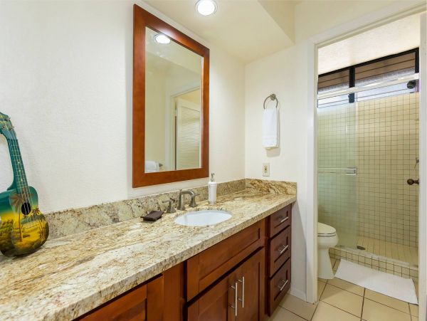 Wailea Condo 976691
