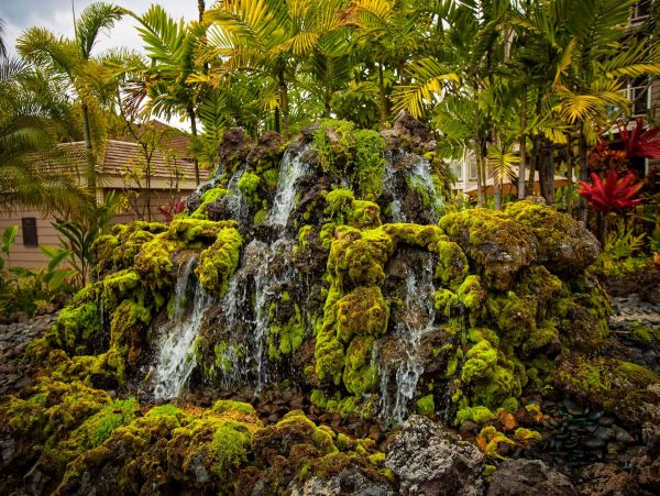Wailea Condo 976691
