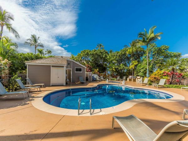 Wailea Condo 976691