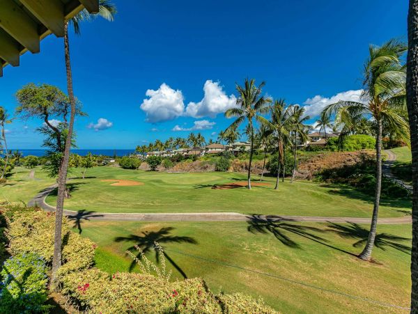 Wailea  Maui Condo 976693