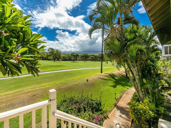 Wailea  Maui Condo 976693