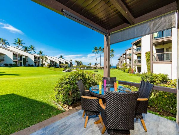 Wailea Condo 976694
