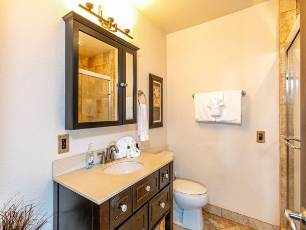 Wailea Condo 976694