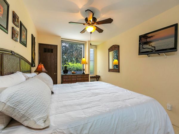 Wailea Condo 976694
