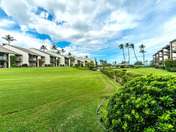 Wailea Condo 976694
