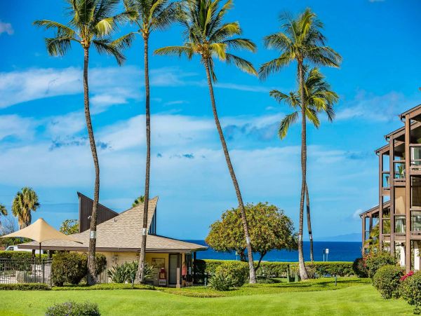 Wailea Condo 976694