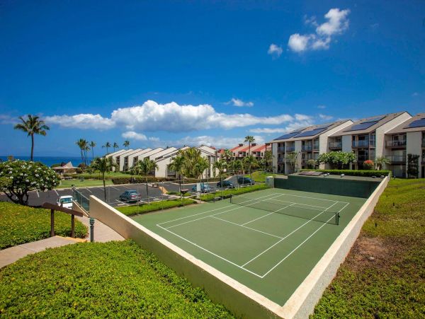 Wailea Condo 976694