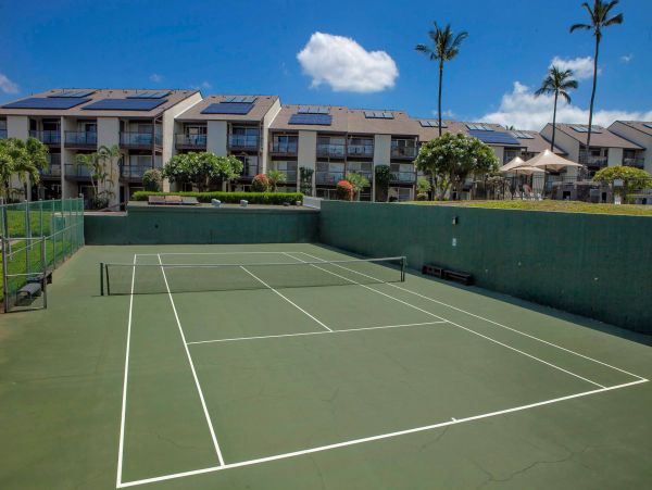 Wailea Condo 976694