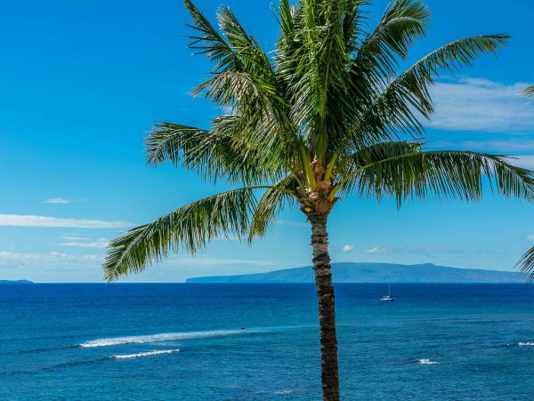 Wailuku Vacation Condo Two Bedroom