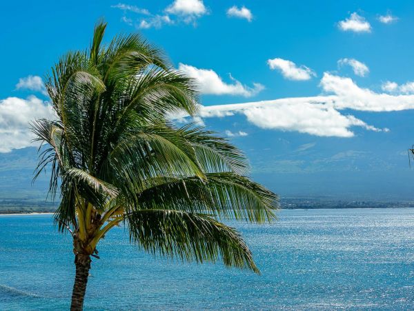 Wailuku Vacation Condo Two Bedroom