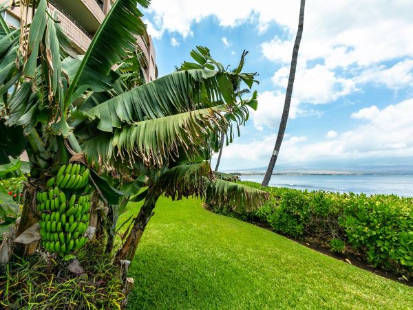 Maui Oceanfront Vacation Rental  Luxury Ma’alaea Bay Ocean View Condo with Lanai