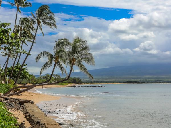 Maui Oceanfront Vacation Rental  Luxury Ma’alaea Bay Ocean View Condo with Lanai