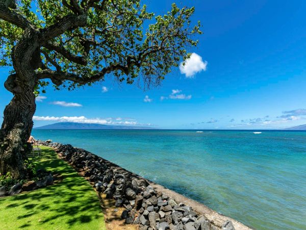 Kahana Condo 976701