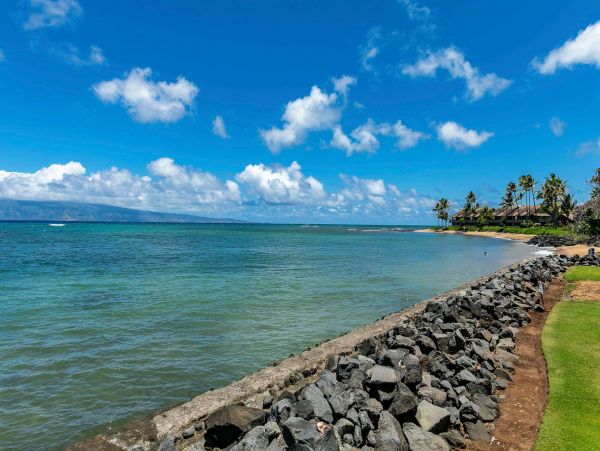 Kahana Condo 976701