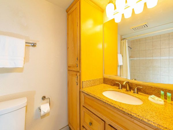 Wailea Condo 976704