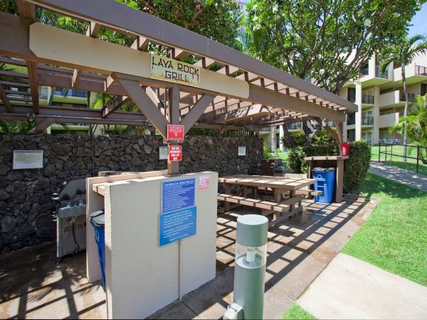 Wailea Condo 976704