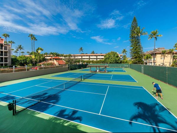 Wailea Condo 976704