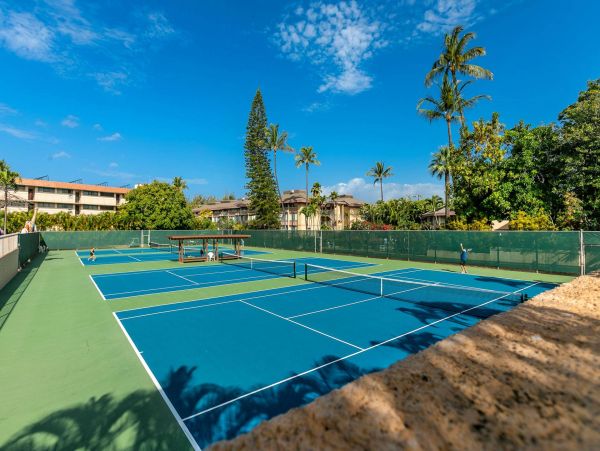 Wailea Condo 976704