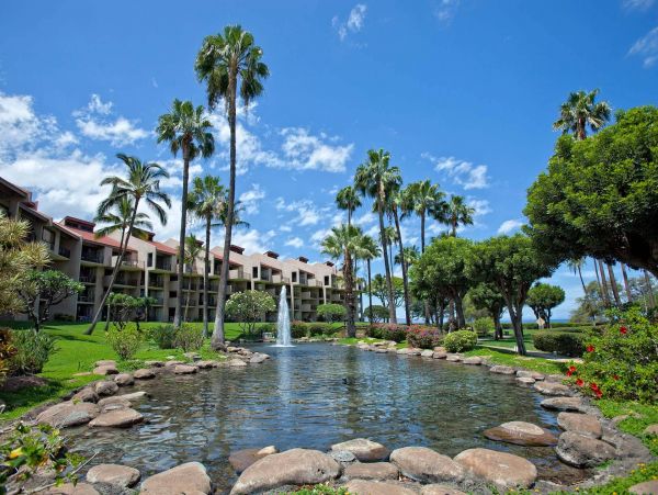 Wailea Condo 976704