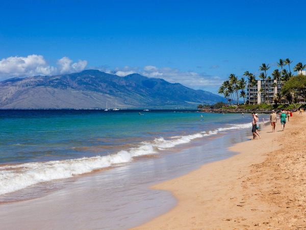 Wailea Condo 976704