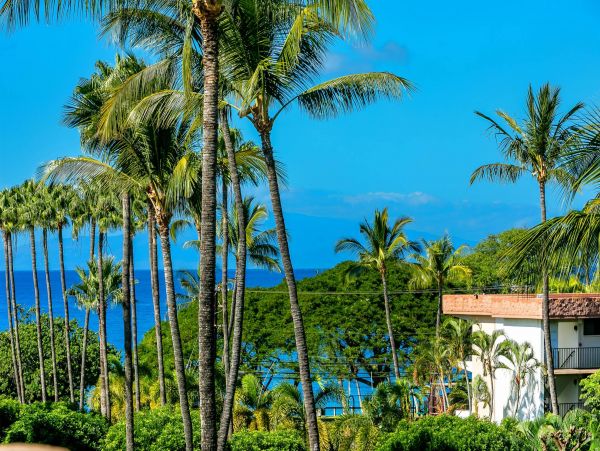 Wailea Condo 976705