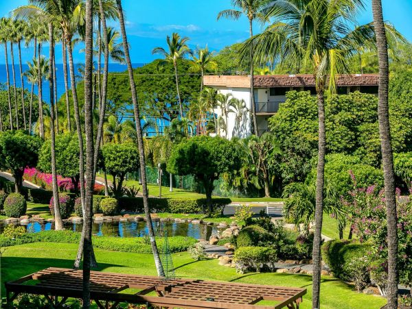 Wailea Condo 976705
