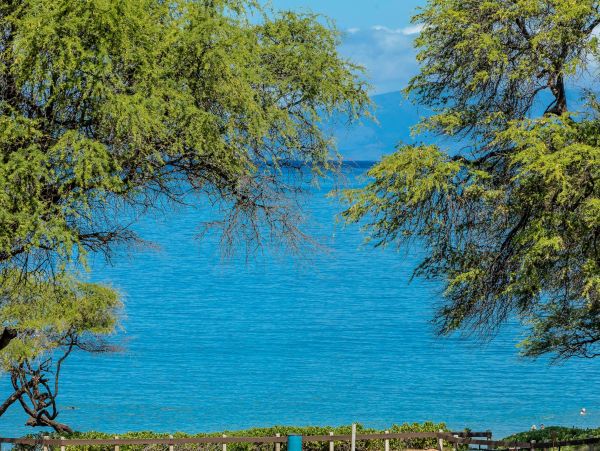 Wailea Condo 976705