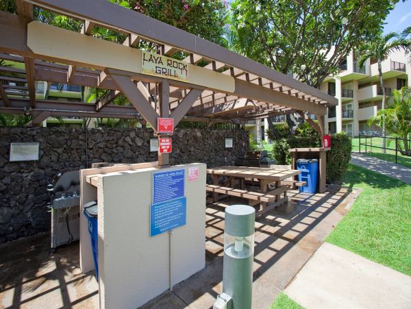 Wailea Condo 976705