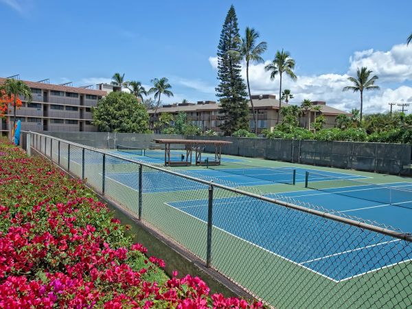 Wailea Condo 976705