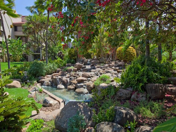 Wailea Condo 976705